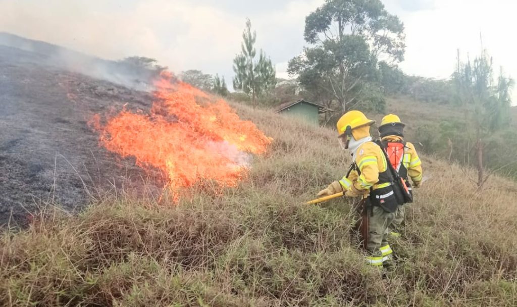 Los moradores se sumaron a los bomberos para aplacar el flagelo.