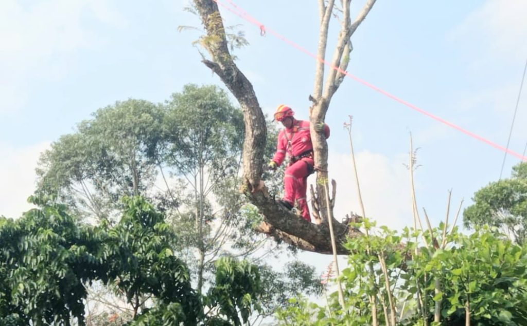 El corte se realizó la tarde de ayer, martes 6 de septiembre de 2022.