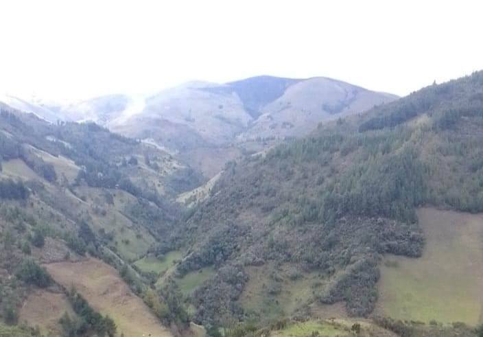 El flagelo empezó el último lunes en la parte alta de la montaña.