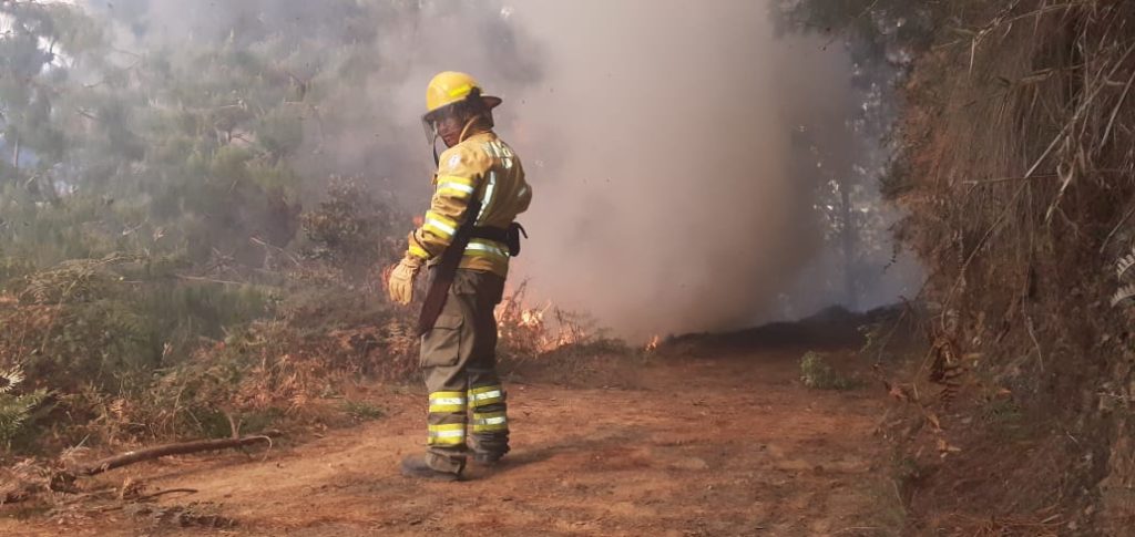 En los últimos días, los flagelos han sido recurrentes.