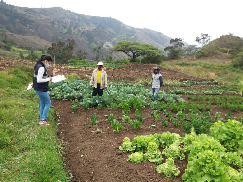 La intención es impulsar la producción ecológica.