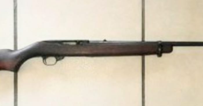 El calibre de las dos armas de fuego es de 4.10 mm.