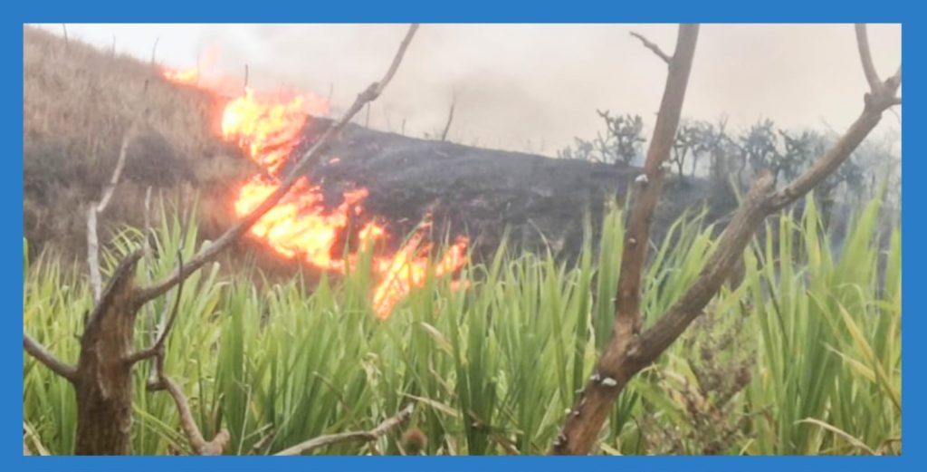 La tarde de ayer fue agitada para los bomberos.