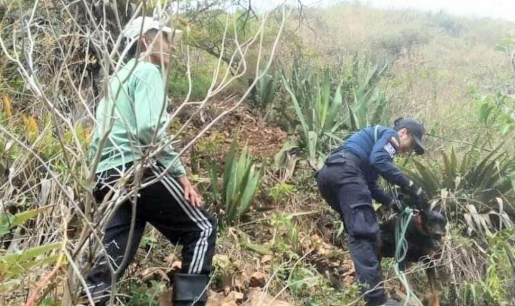 Los bomberos y los moradores de Ceibopamba intervinieron.