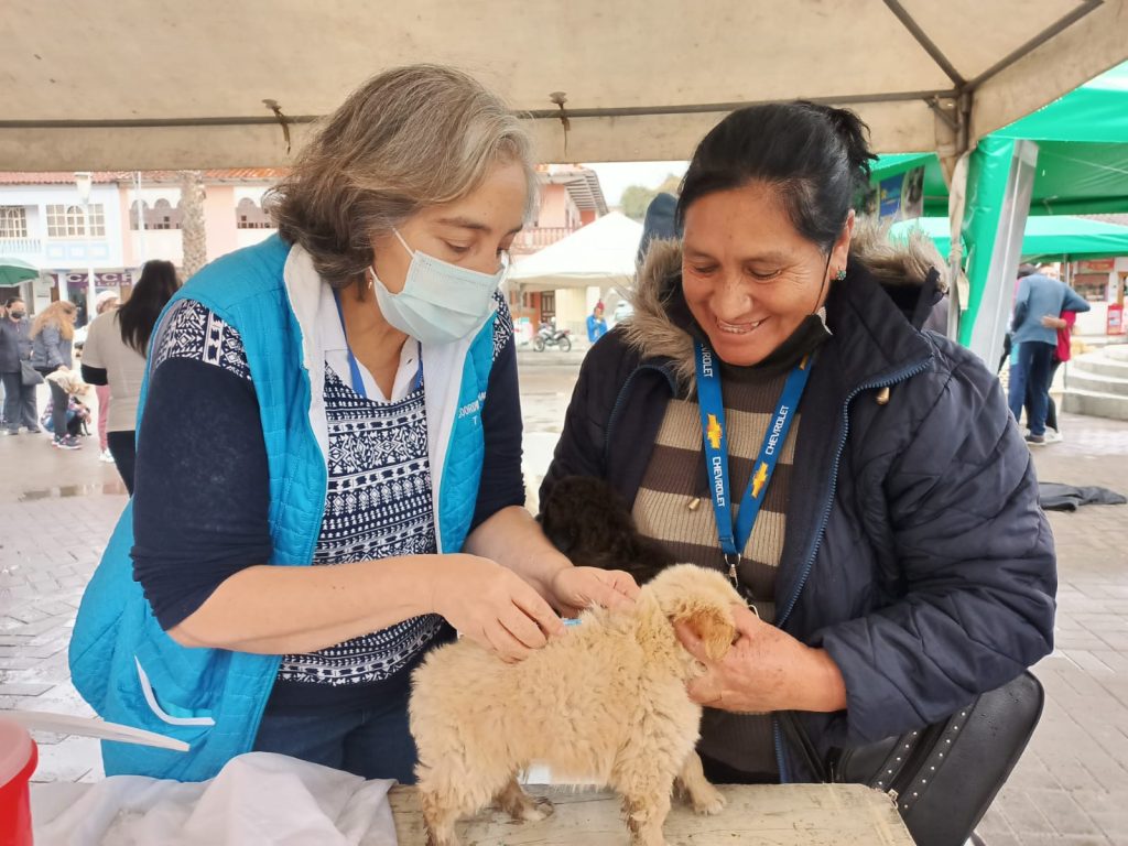 Canes de diferente raza fueron vacunados el sábado 15 de octubre en la plaza de El Valle.