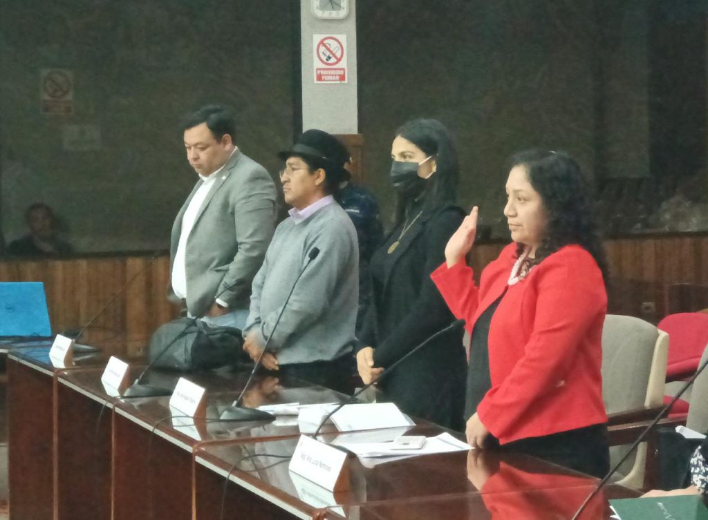 Ana Lucía Namicela Guaya, durante su posesión como nueva integrante de la Comisión de Mesa.