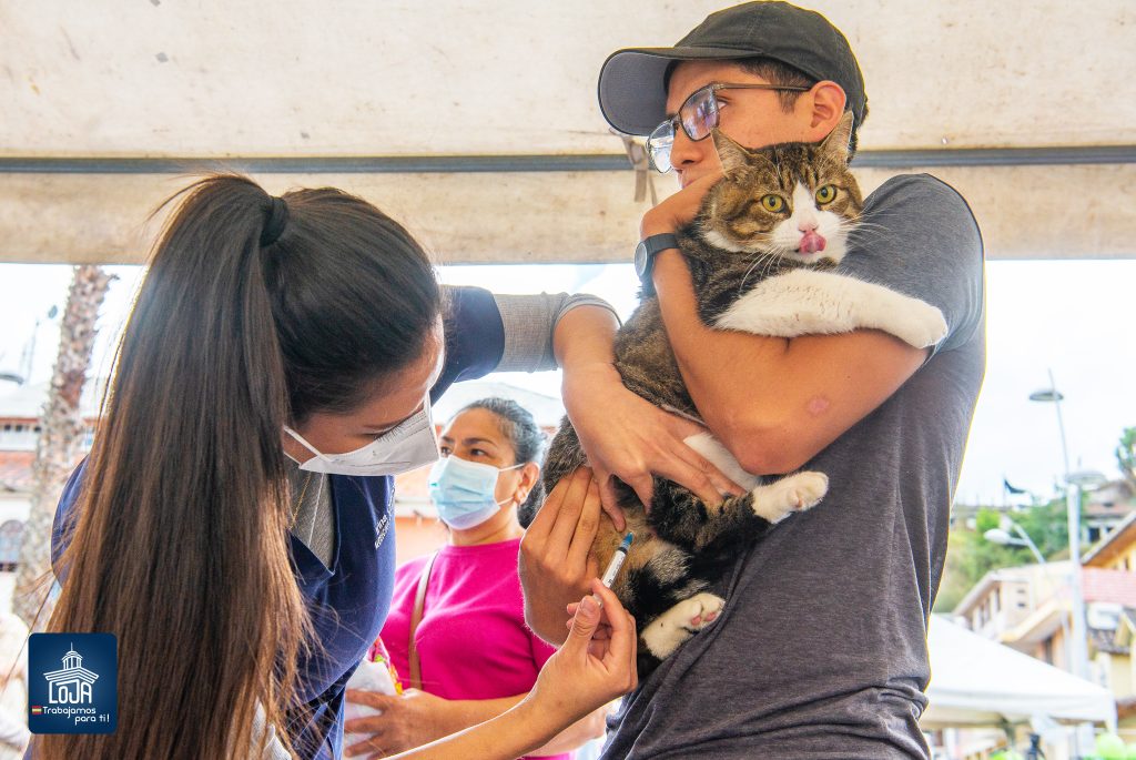 Muchas personas de buen corazón han regalado un hogar a los canes y felinos. También han participado en las jornadas de vacunación y desparasitación.