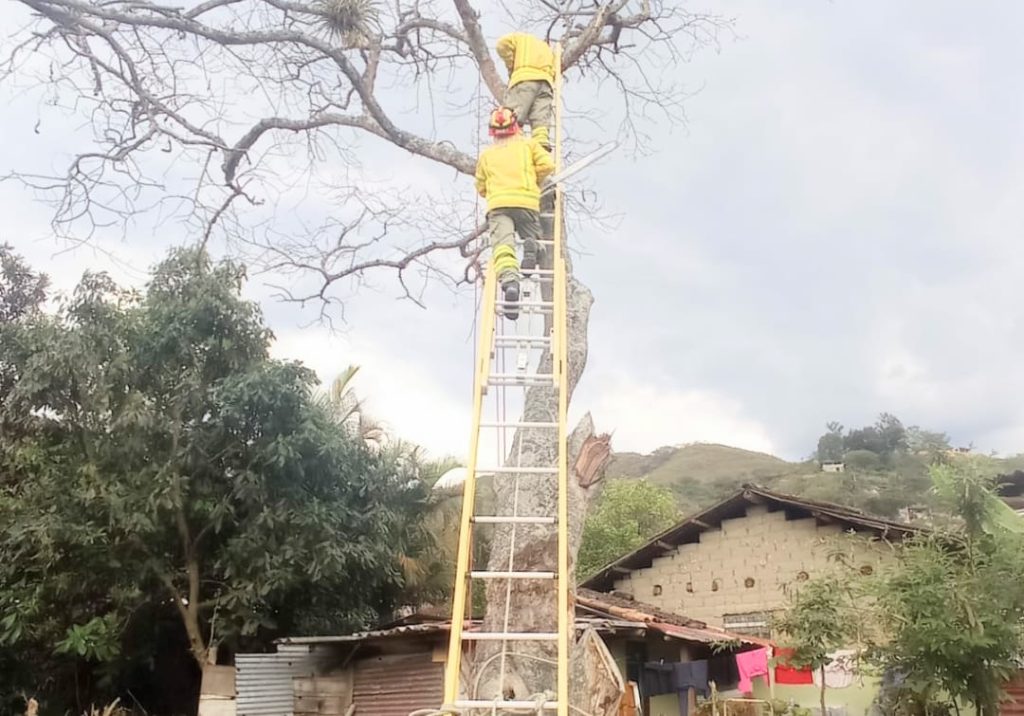 El macizo fue cortado para evitar una tragedia.