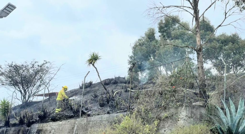 Isidro Ayora, incendio forestal, casacas rojas, bosque de eucalipto