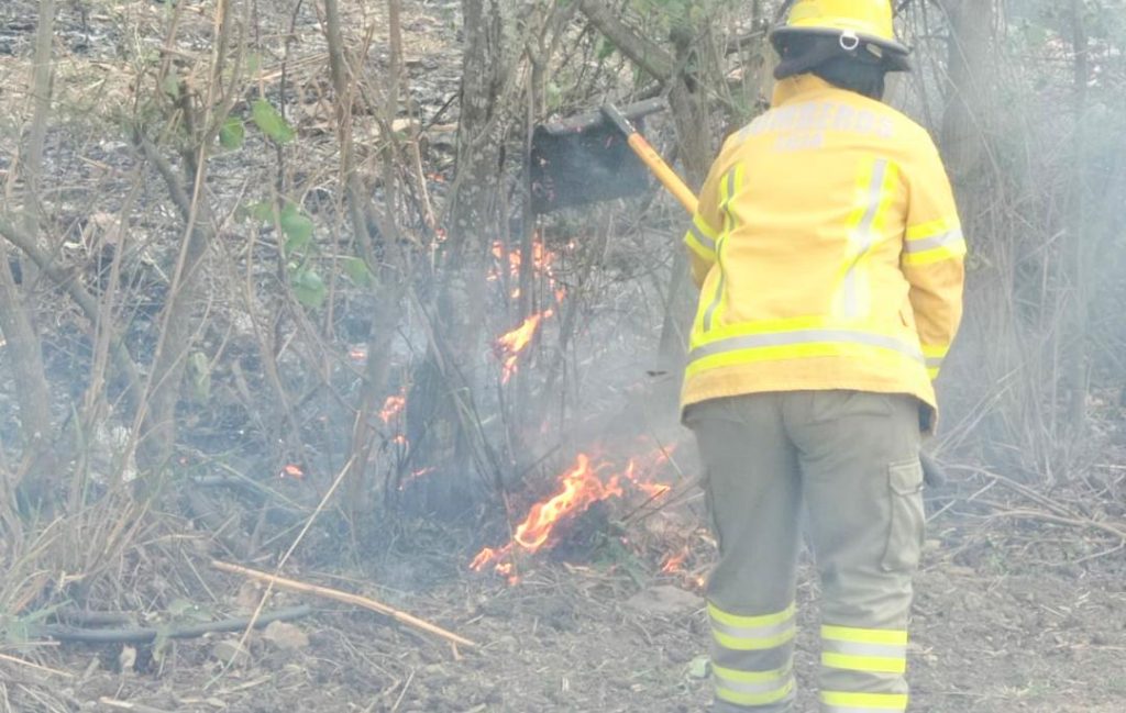 La tarde de ayer ocurrió ese flagelo.