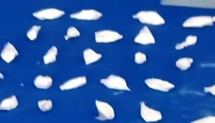 El peso neto de la droga es de 29,10 gramos de base de cocaína.