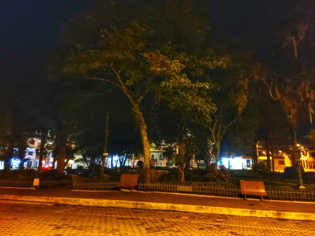 En las noches, ante la falta de iluminación, el interior del parque luce obscuro.