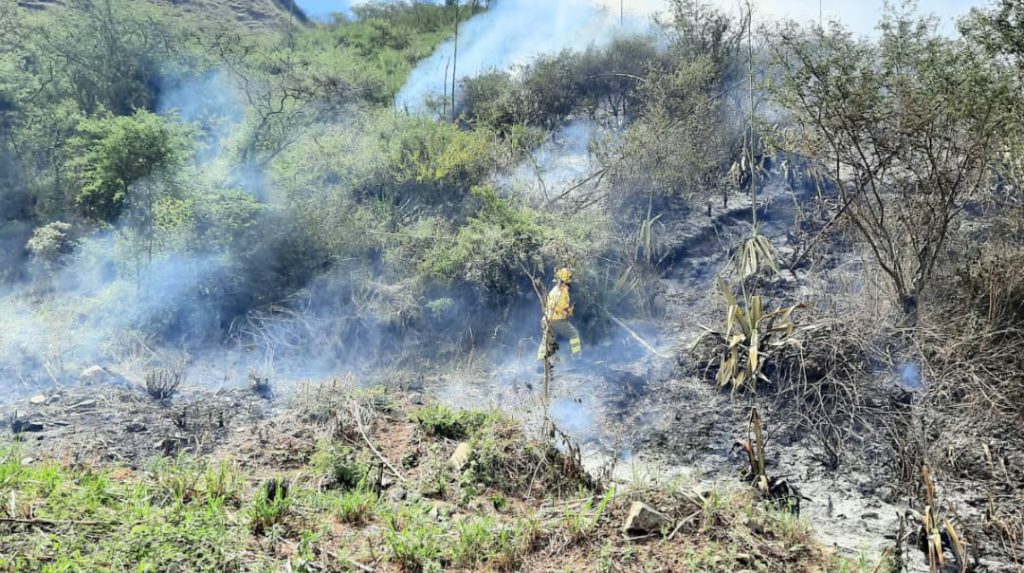 Ocurrió en el barrio Linderos, de la parroquia Vilcabamba.