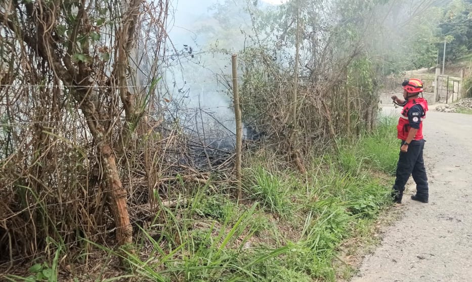 Los bomberos acudieron al lugar.