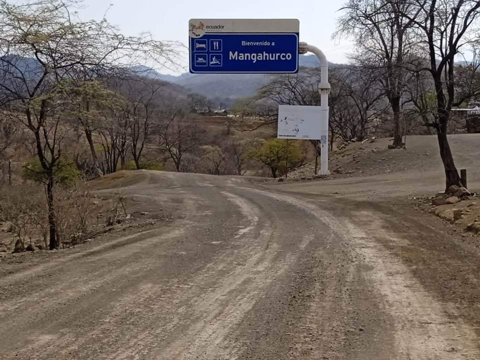 En las parroquias Mangahurco, Bolaspamba y Cazaderos se da la mayor concentración de la especie.