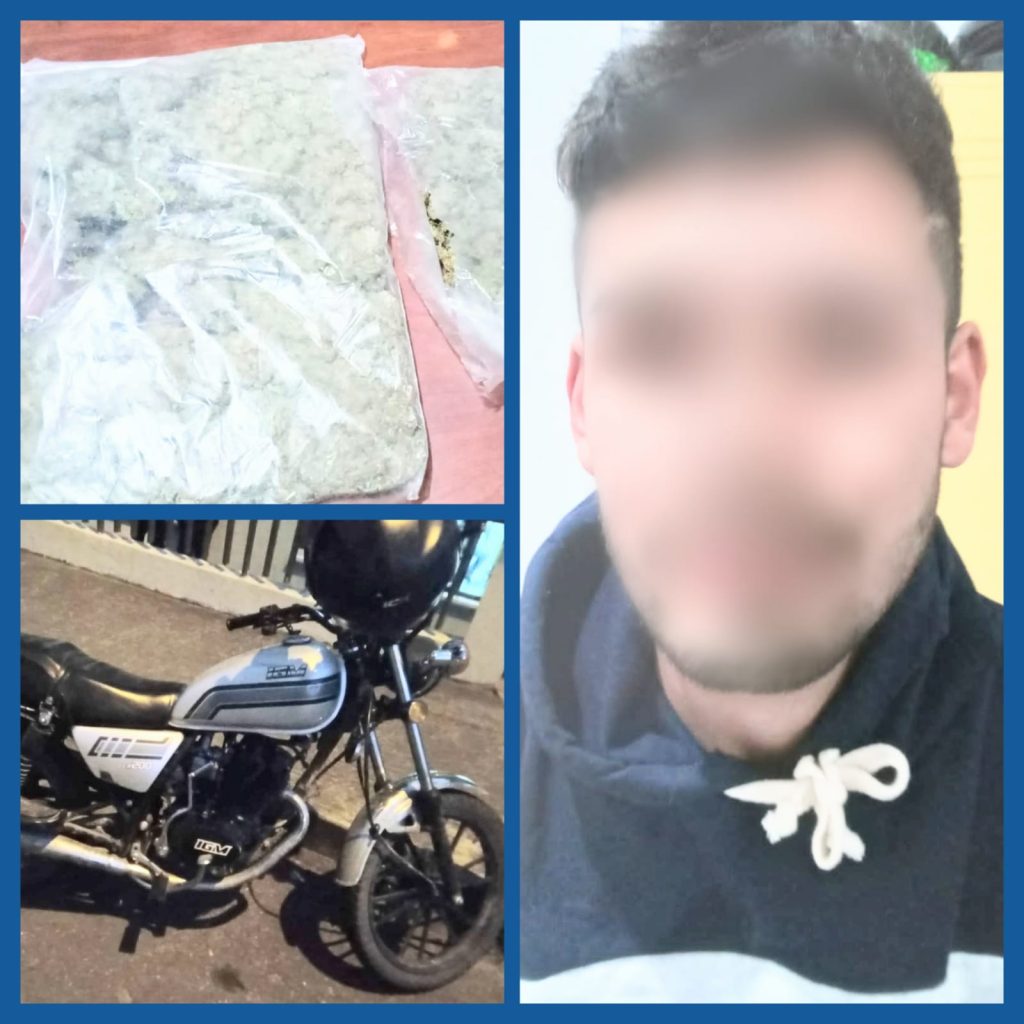 Con esa cantidad de droga él ciudadano hubiera elaborado alrededor de 1.269 dosis de marihuana.