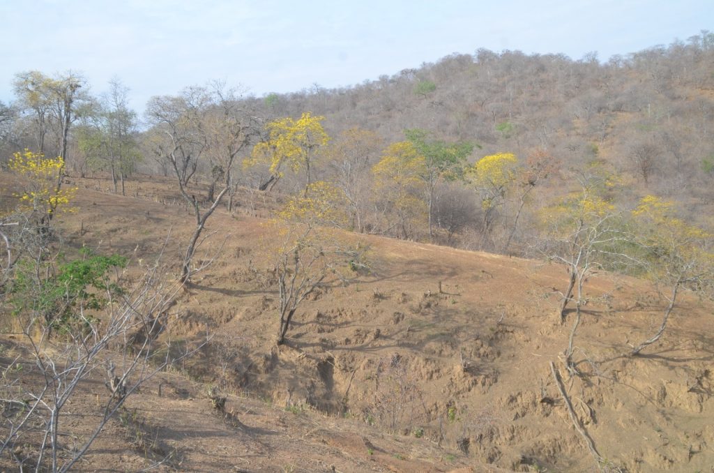 Las imágenes fueron registradas este miércoles en la parroquia Bolaspamba.