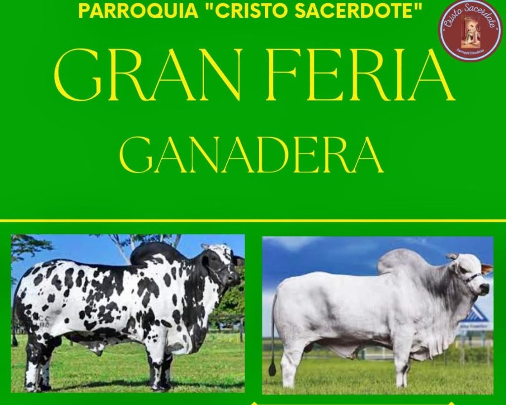 Este es el afiche mediante el cual se promociona el evento.