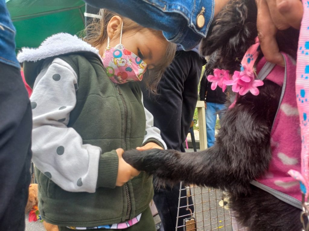 Se realiza un seguimiento de los ejemplares adoptados.