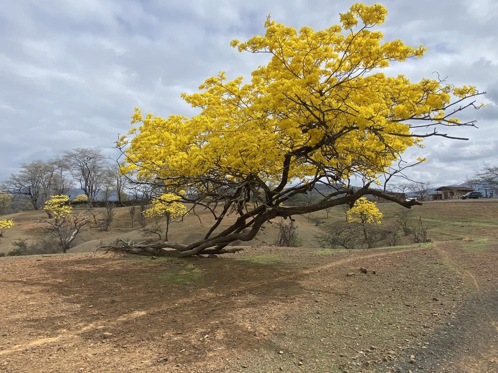 Las instituciones seccionales compartieron en sus redes sociales cómo están viviendo el fenómeno natural.