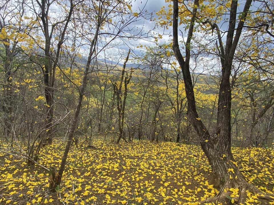 Centenares de personas visitaron Mangahurco y Cazaderos estos cuatro días.