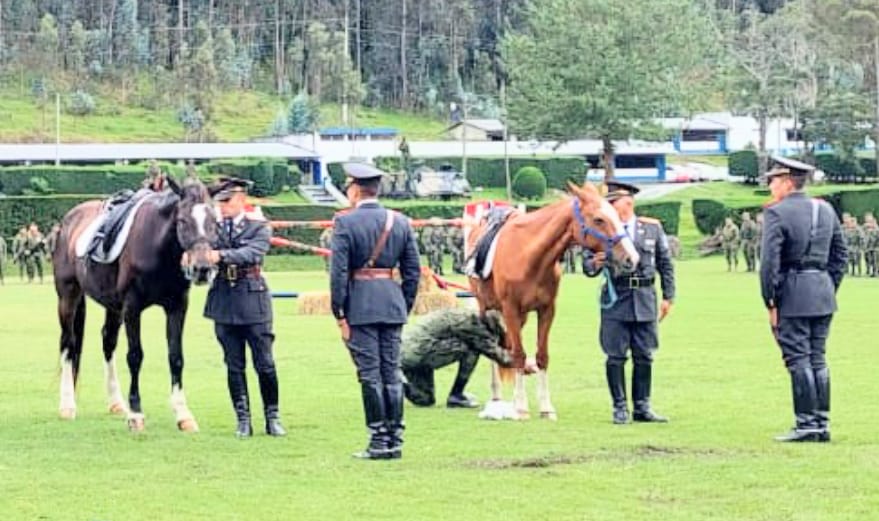 Los nobles corceles cumplieron con su servicio en el Ejército Ecuatoriano.