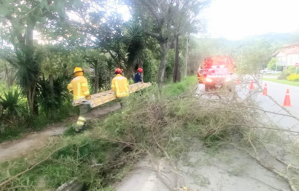 A las 17:00 se cumplió la actividad.