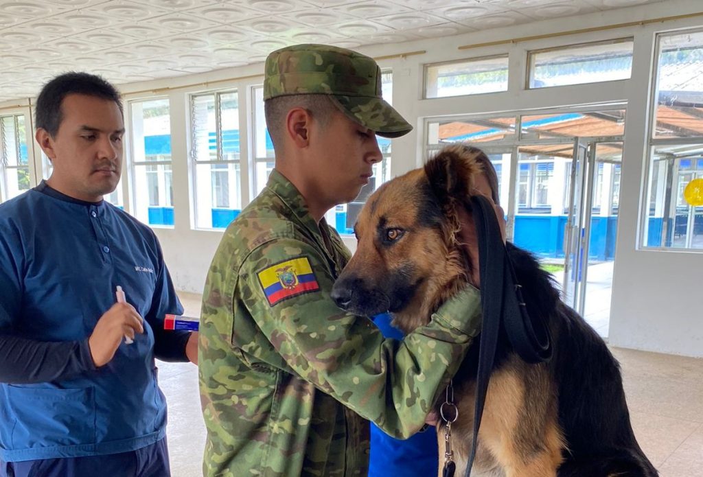 La desparasitación y vacunación de los canes es parte del proyecto.