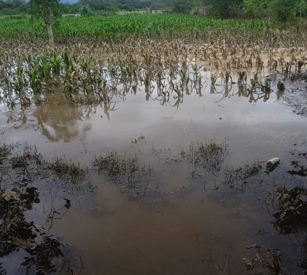 Mediante videos y fotografías se observan los problemas registrados.