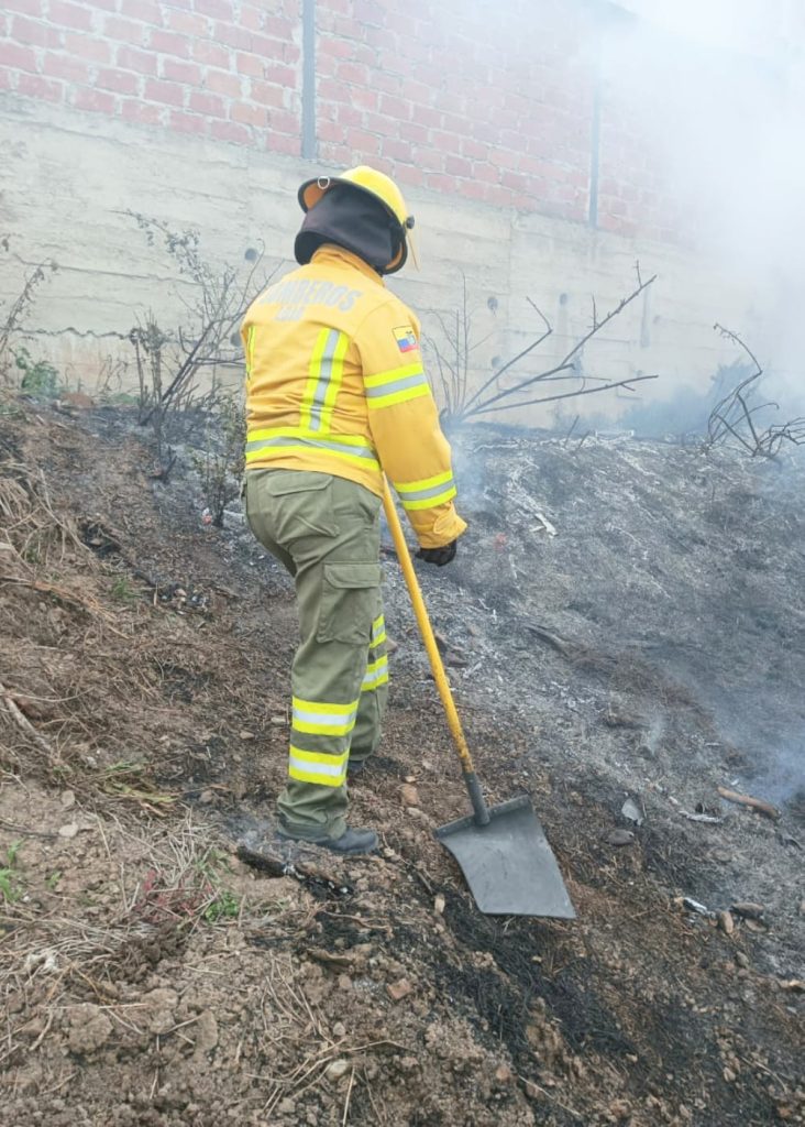 Tres casacas rojas liquidaron ese flagelo.