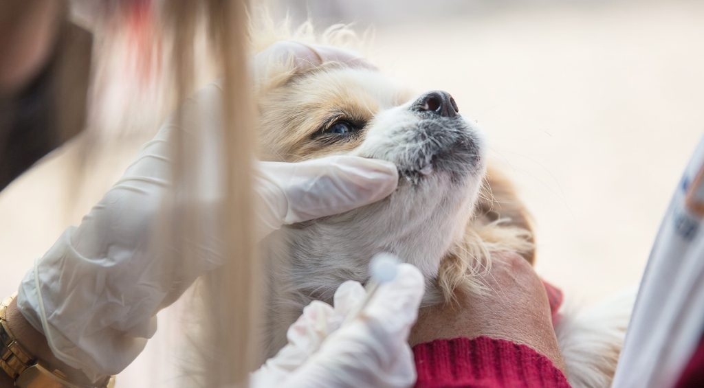 Es una actividad que lleva adelante el Municipio de Loja.