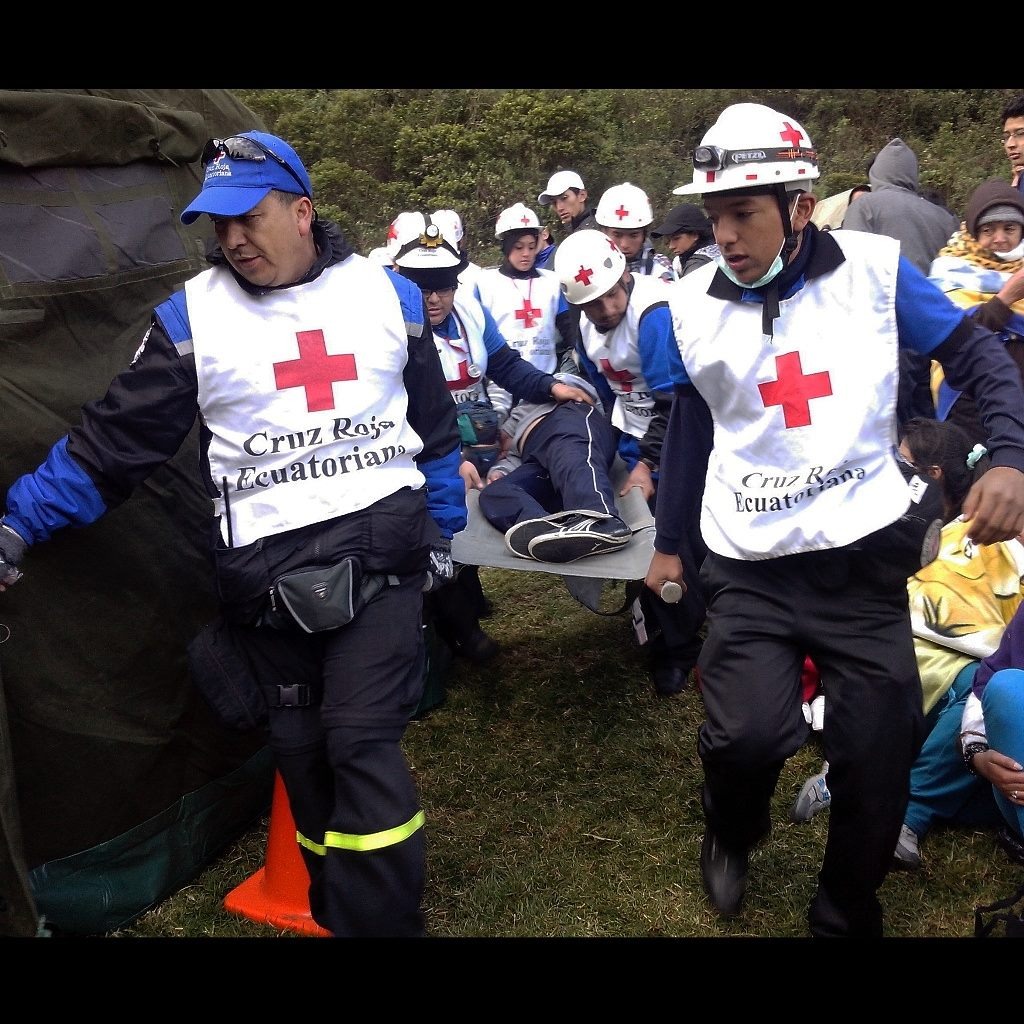 El trabajo que ha realizado ha sido sin percibir alguna remuneración económica.