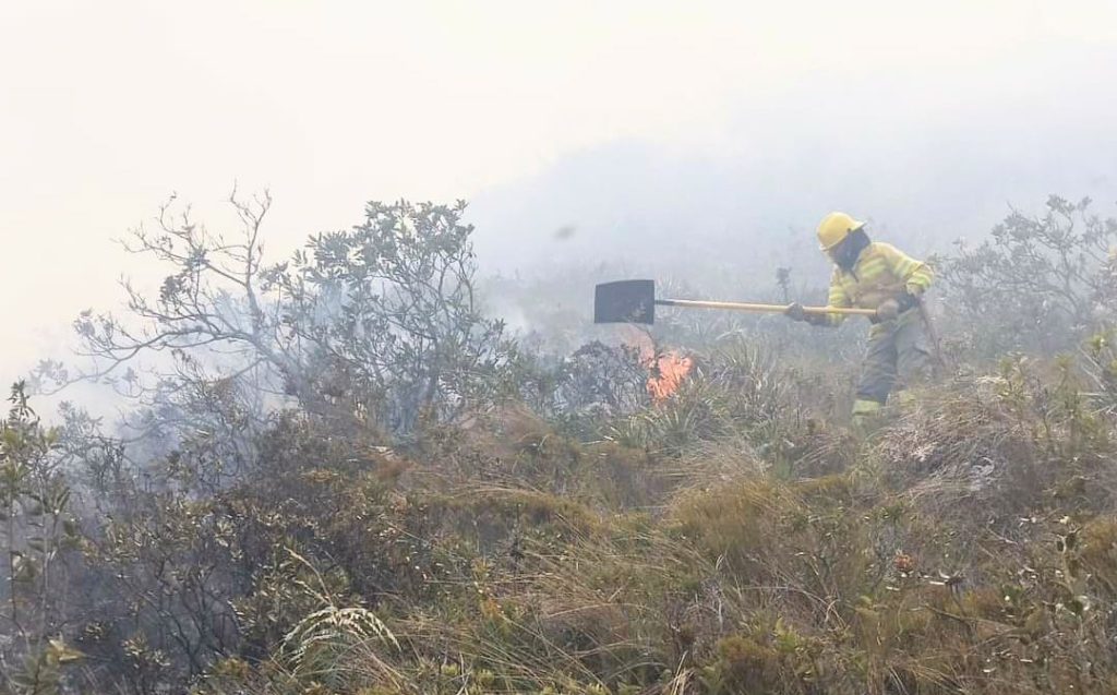 Cuatro casacas rojas aplicaron los dos flagelos.