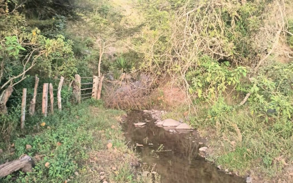 Los huesos y la ropa encontrados en ese sector serán analizados científicamente.