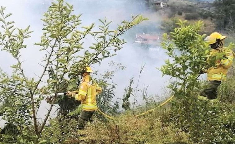 Dos bomberos se enfrentaron contra las llamas.