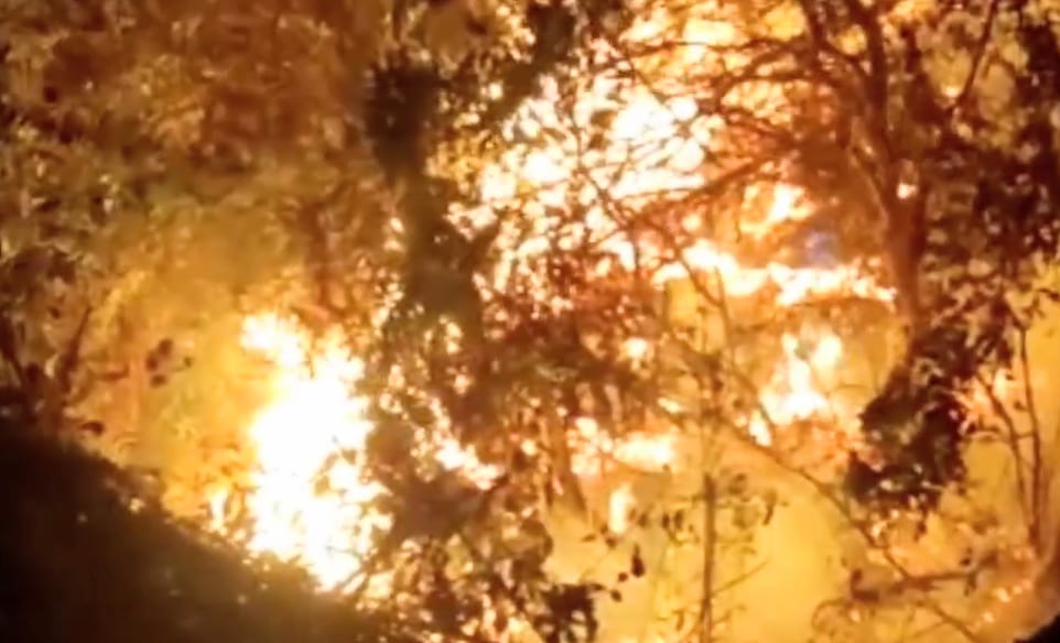 Hasta el cierre de esta edición digital no se controlaba el flagelo.