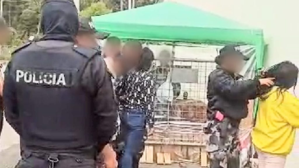 Ellos fueron detenidos en un barrio ubicado al suroeste de la localidad.