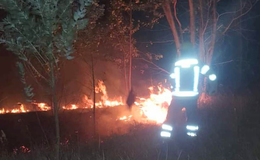 Tres bomberos controlaron el flagelo.