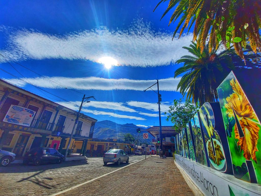 El evento se realizará en el parque Central.