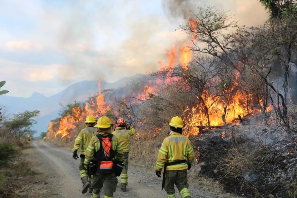 El fuego empezó en la tarde del último domingo, 15 de octubre de 2023.