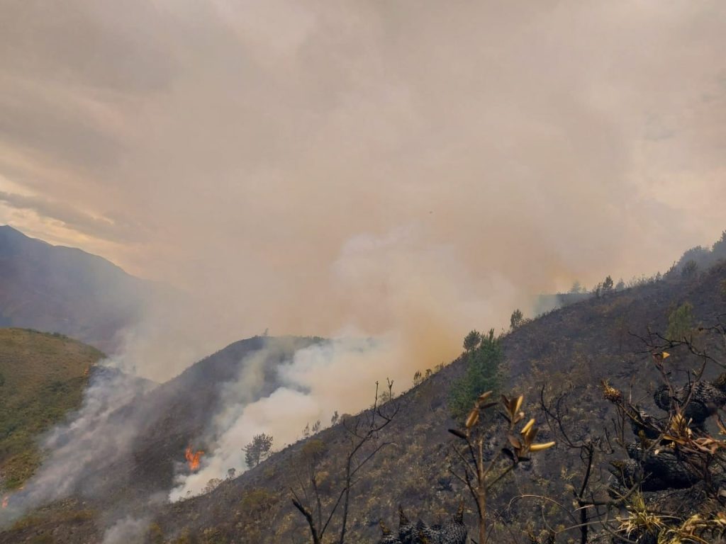 Las parroquias del cantón Loja, en los últimos días, han sido blanco de varios incendios forestales.