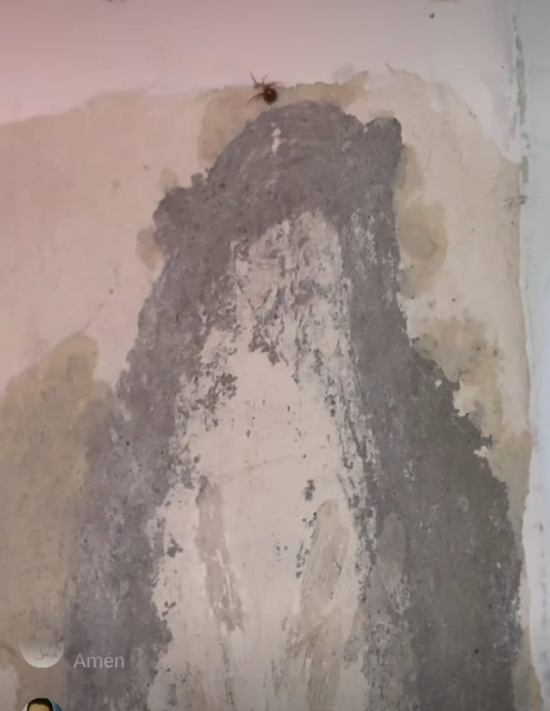 La imagen está en una pared de la vivienda de Segundo Piñancela, en el sector Puente Grande.