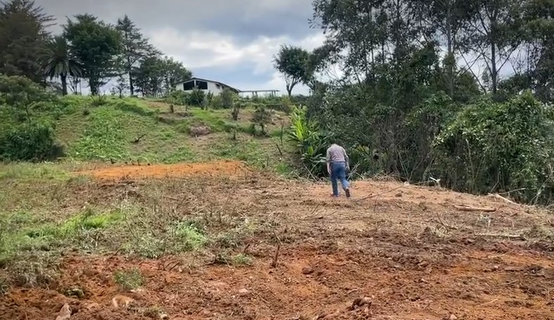 Se cumple un trabajo preliminar de limpieza.