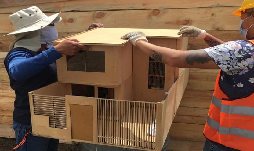 El proyecto inició hace unos 5 años aproximadamente.