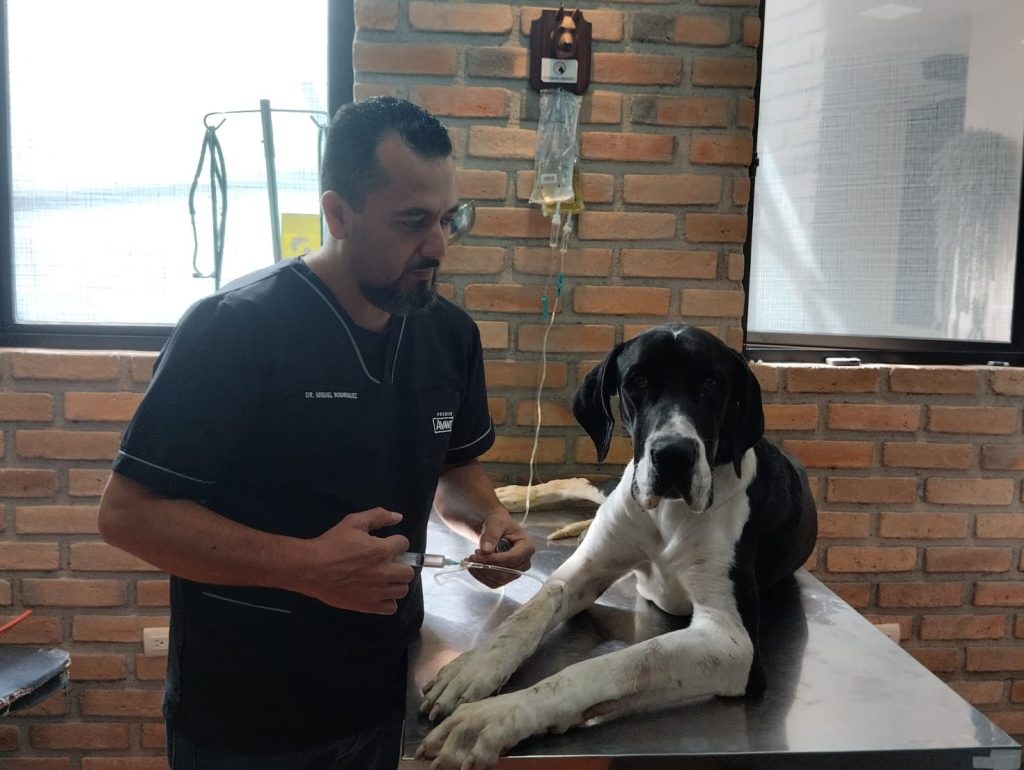 La atención profesional es una de las características de este centro de atención veterinario.