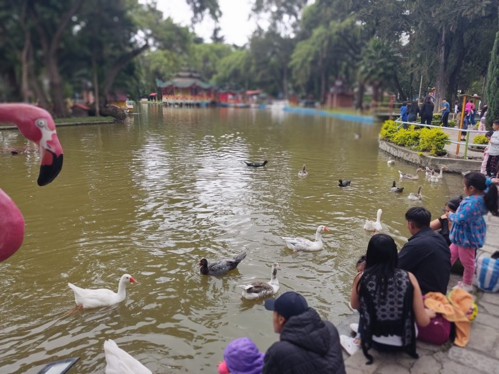 El entretenimiento de chicos y grandes es ver a sus orillas a las inquietas aves: patos y gansos, que se acercan a los visitantes, algunos de ellos, generosos, les arrojan alimento.