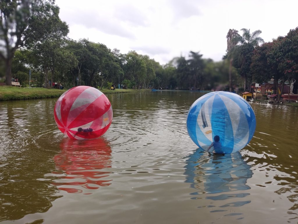Unos globos llenos de aire son la felicidad de los niños que en su interior dan vueltas y más vueltas, sobre la laguna, bajo la atenta mirada de sus padres y el público.