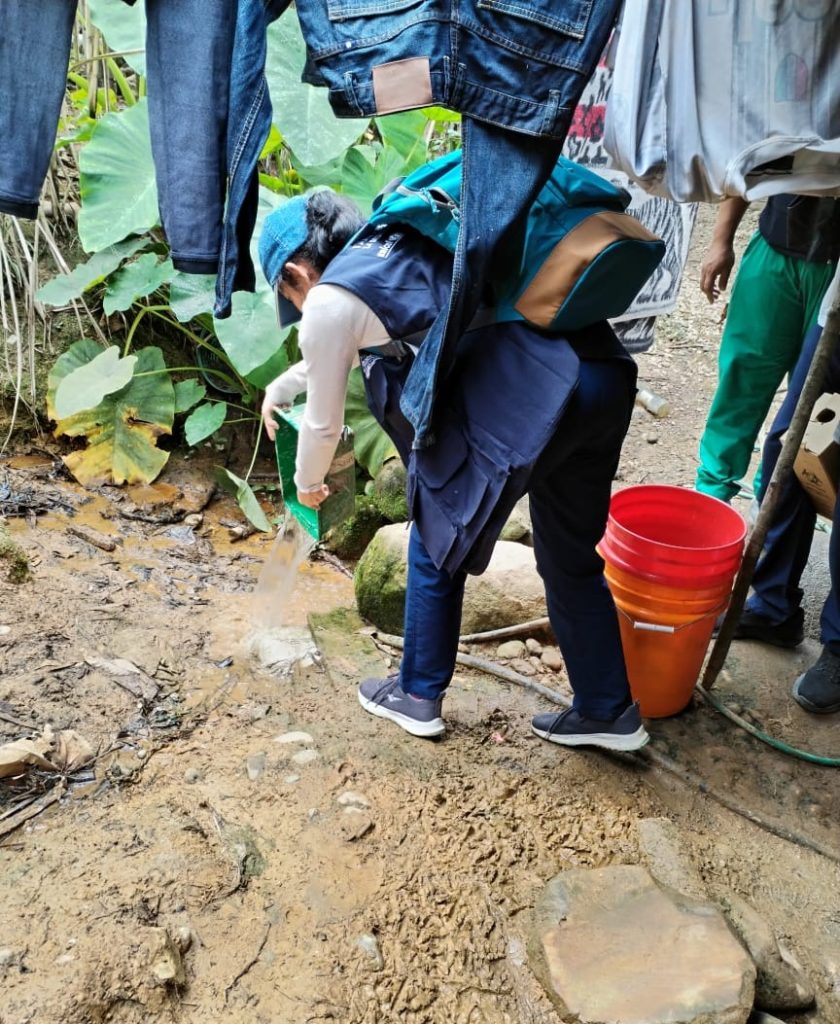 Se realizan controles con fumigaciones y retiro de criaderos.