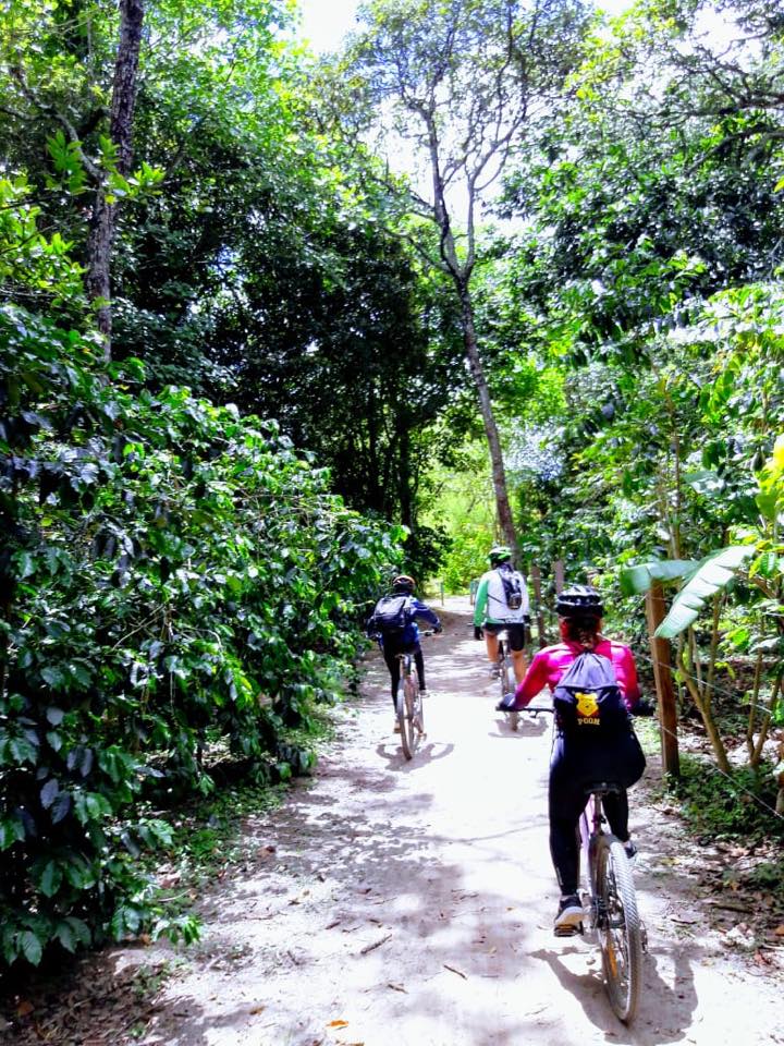 Varios parajes podrán disfrutar en esta ruta.