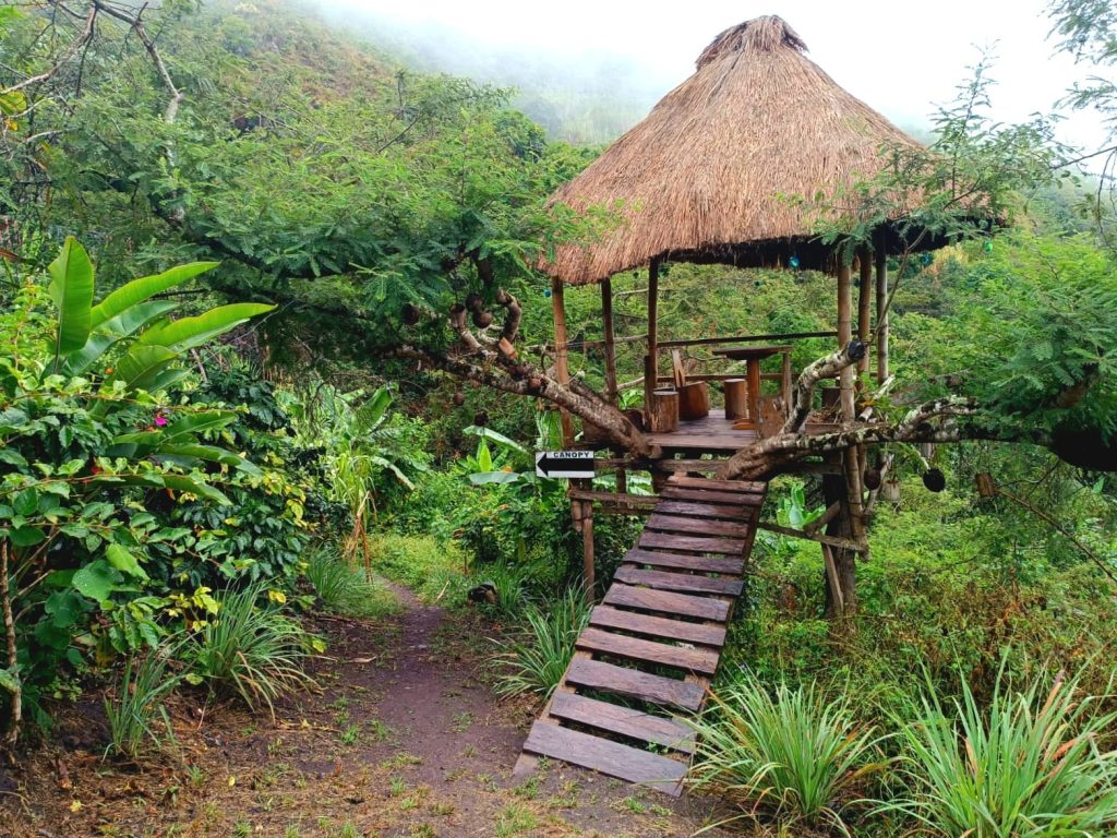 Peña Azul Extremo cuenta con el canopy más extenso de Sudamérica. Antes de llegar al lugar para disfrutar del canopy, los visitantes pueden hacer un pequeño recorrido por senderos que incluyen una cascada llamada "La Llorona". 